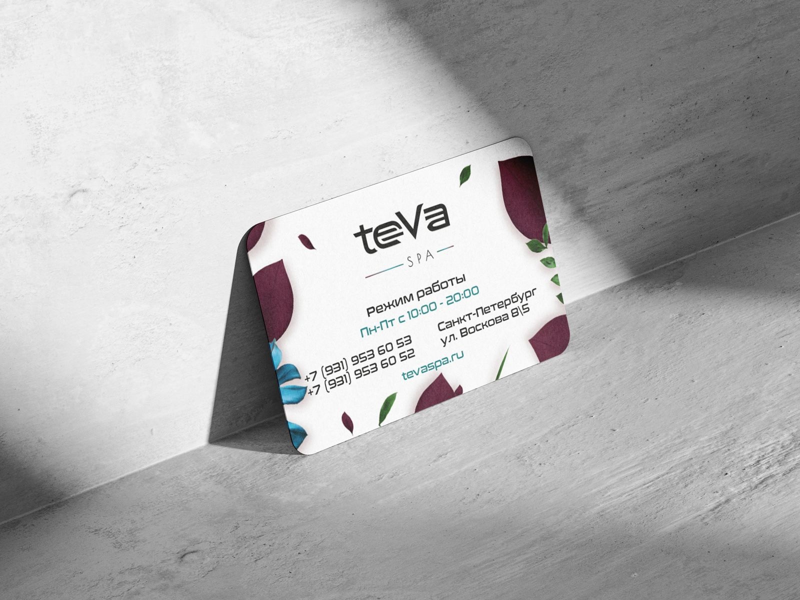 Teva spa